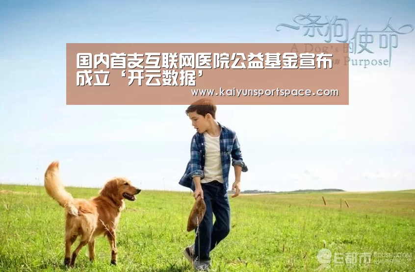 开云下载