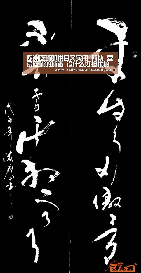 欧洲篮球即悦目又实用 所以 喜爱篮球的球迷 没什么好担忧的“开云下载”(图3) 开云数据