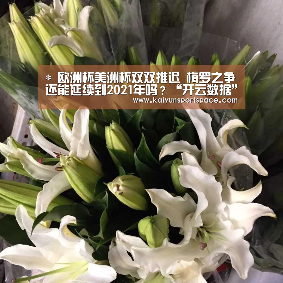 开云下载