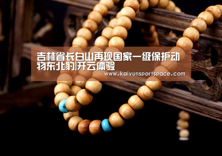 吉林省长白山再现国家一级保护动物东北豹|开云体验(图1) 开云数据