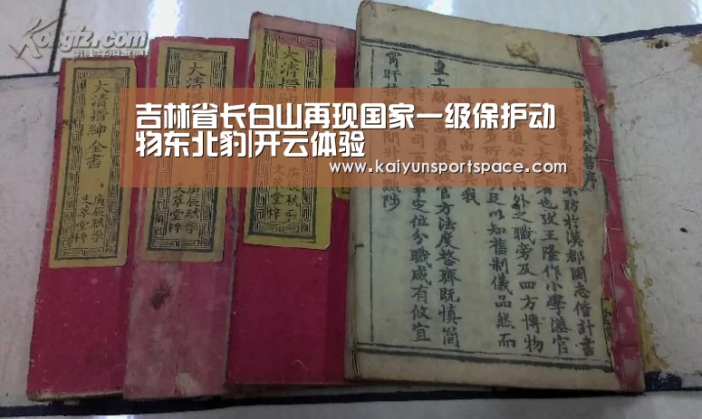 吉林省长白山再现国家一级保护动物东北豹|开云体验(图2) 开云数据