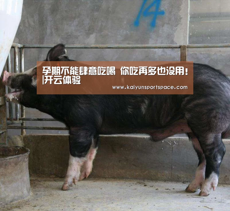 孕期不能肆意吃喝 你吃再多也没用!|开云体验(图2) 开云下载