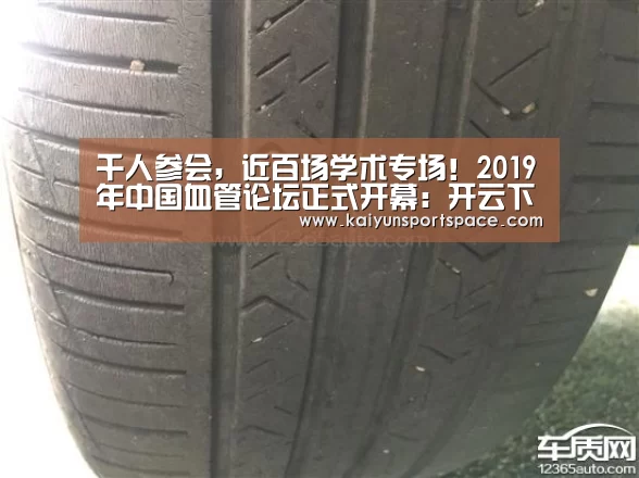 开云数据
