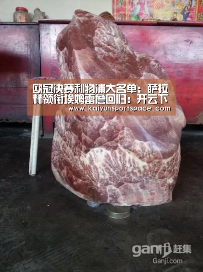 欧冠决赛利物浦大名单:萨拉赫领衔埃姆雷詹回归:开云下载(图2) 开云体验
