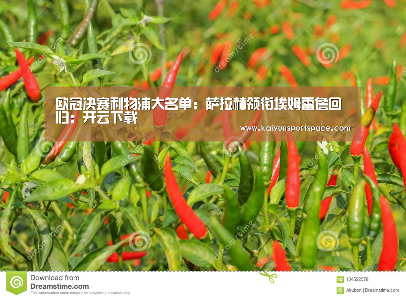 欧冠决赛利物浦大名单:萨拉赫领衔埃姆雷詹回归:开云下载(图1) 开云下载