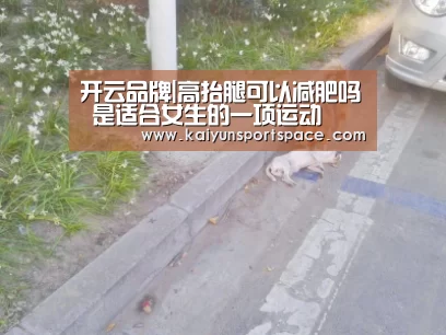 开云数据