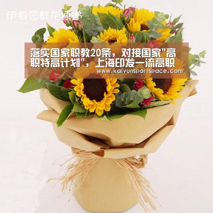 落实国家职教20条,对接国家高职特高计划,上海印发一流高职建设方案“开云数据”(图1) 开云数据