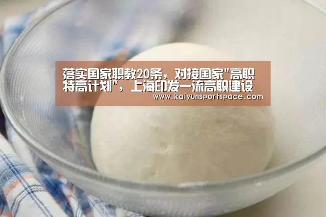 落实国家职教20条,对接国家高职特高计划,上海印发一流高职建设方案“开云数据”(图3) 开云体验