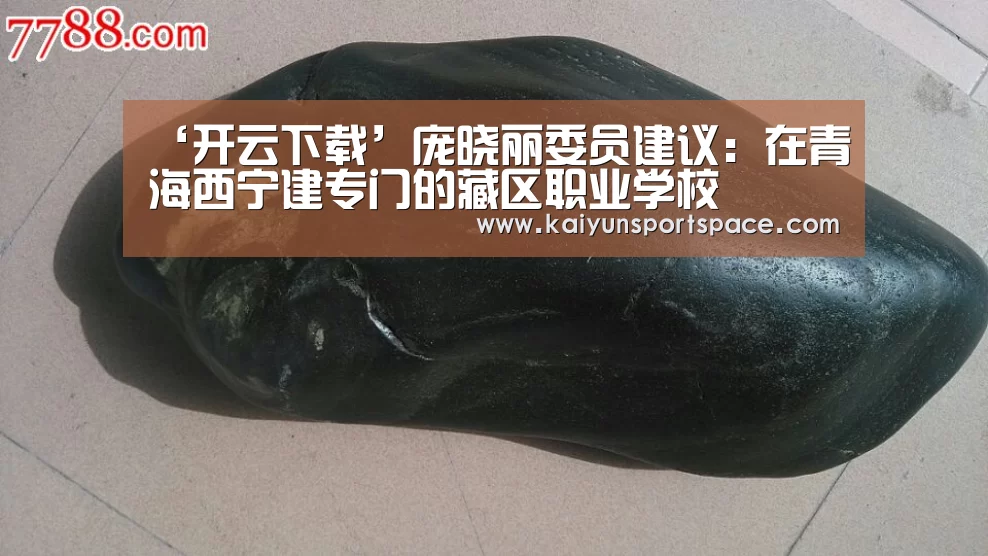‘开云下载’庞晓丽委员建议:在青海西宁建专门的藏区职业学校(图2) 开云体验